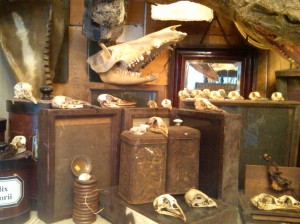 French-country-montmarte-skulls