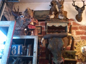 French-country-montmarte-taxidermy